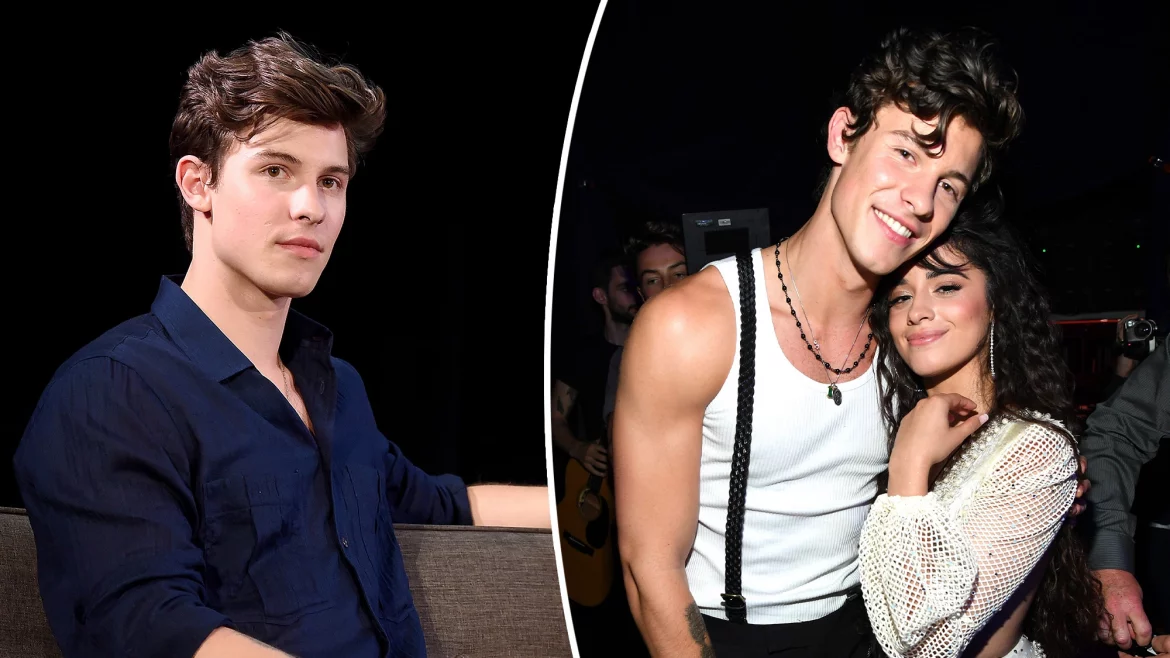 Shawn Mendes Reflects On New ‘Reality’ Following Camila Cabello Split